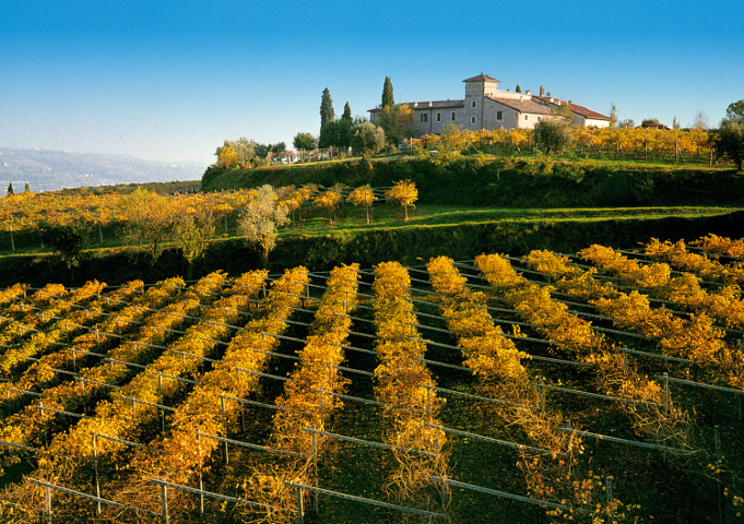 ǧ��vʷ��ǧ��������