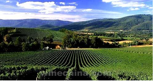 �L��������Ѿ��f �I�Լ��ݱ����L��  ���� ʮһ�S��������֮�x