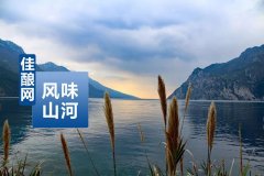 預告|《風味山河》: 一場白酒存量競爭格