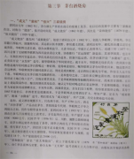 һ���u�������꽭����é�_��ϟ������d˥